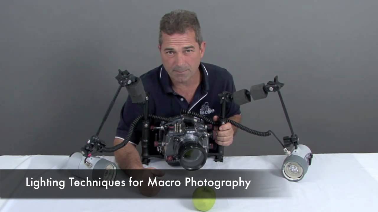 Lighting Techniques for Shooting Macro