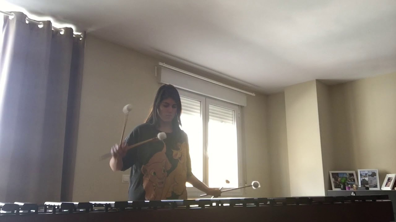 Shallow - A star is born ( Marimba cover )