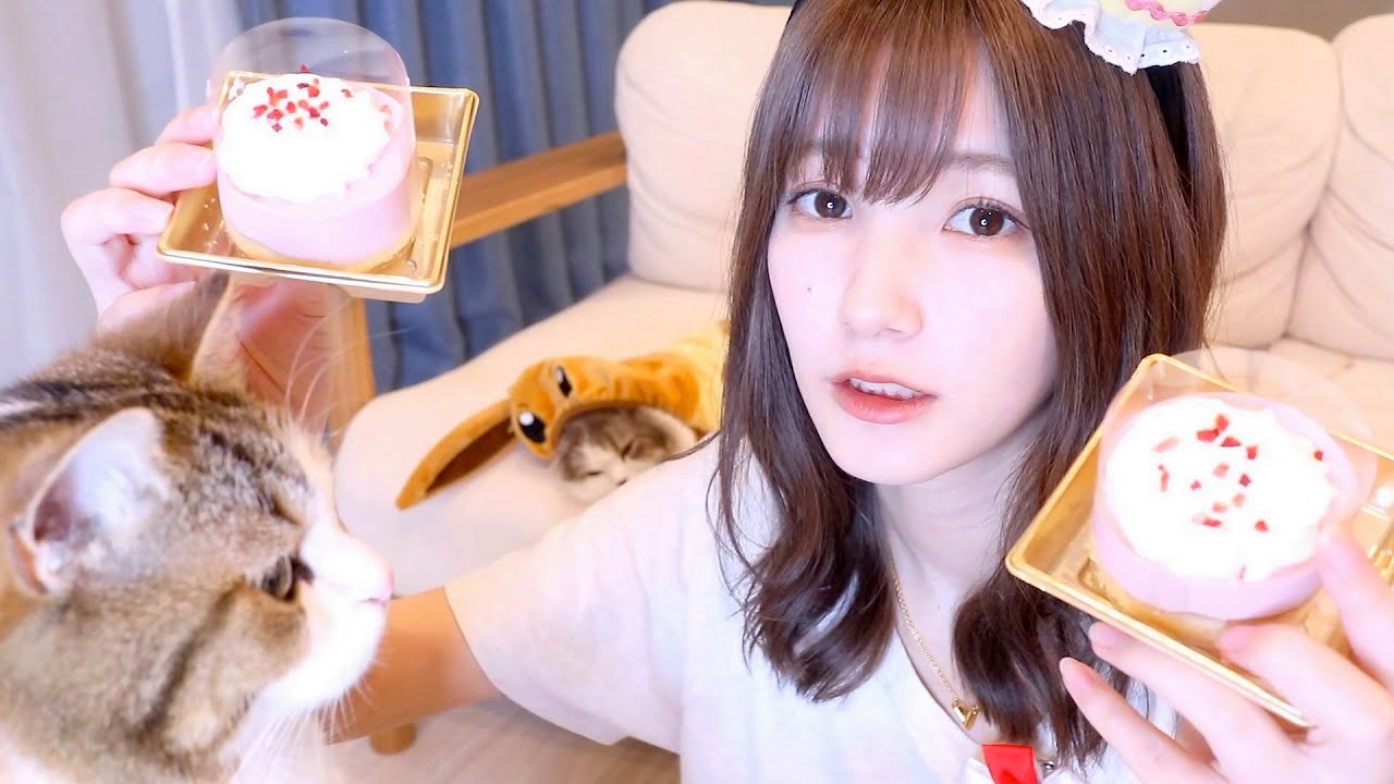 【悲しい】誕生日なので猫用のケーキを1人で食べます。