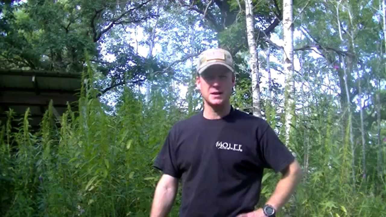 Nettle Cordage
