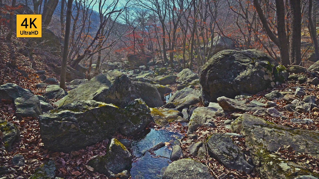 봄이 다가오는 소리, 4k,  4시간_ 휴식, 물소리, The Sound of Spring Approaching 4K,  Relaxing Water Sound Nature ASMR