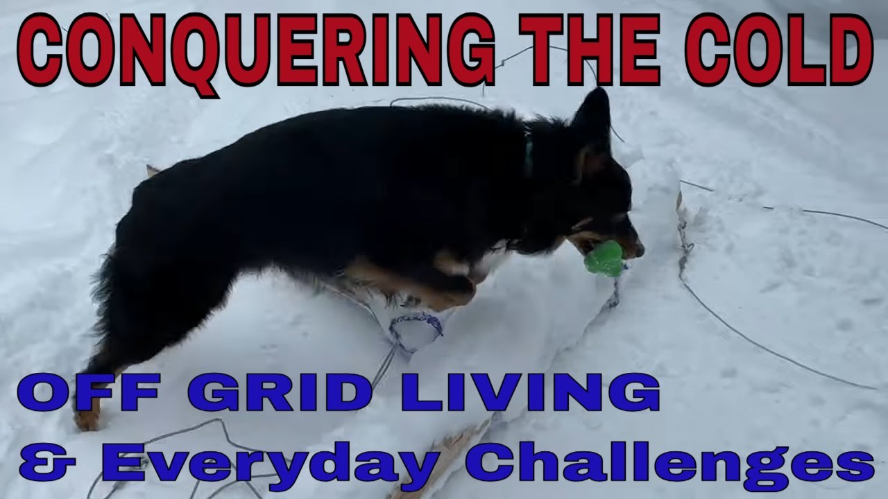 Mastering The Winter Chill: Surviving Off-grid Living! 