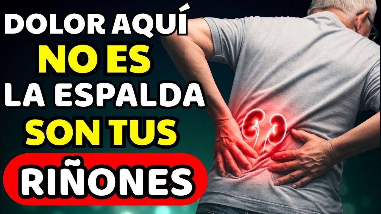 Si te Duelen los RIÑONES: No es la Espalda, 5 Errores que los Están Dañando | Salud Renal