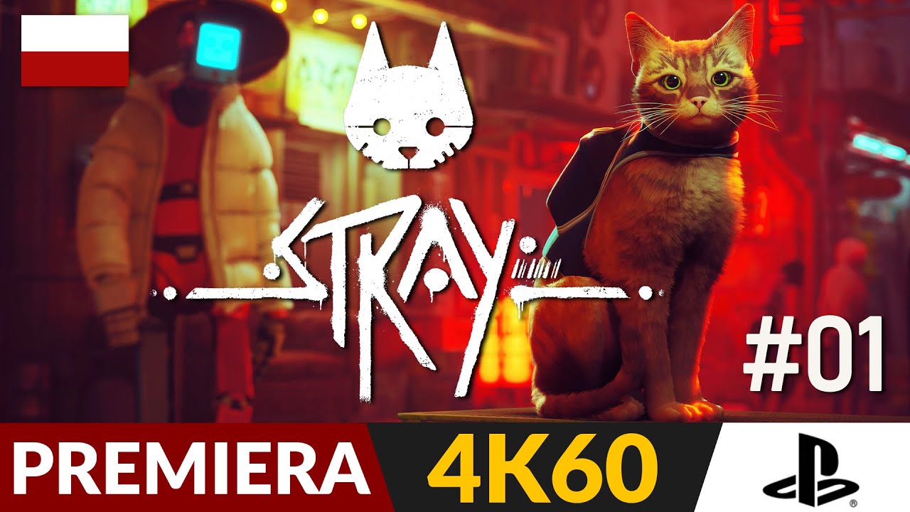 Stray PL 🐈 #1 - odc.1 🐱 Gra o kocie | Gameplay po polsku 4K
