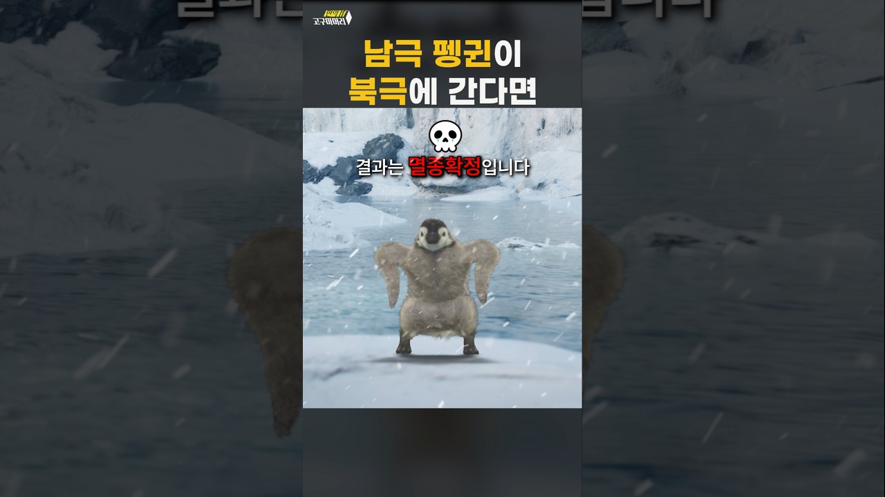 🍠 만약 펭귄이 북극에 간다면 어떻게 될까?