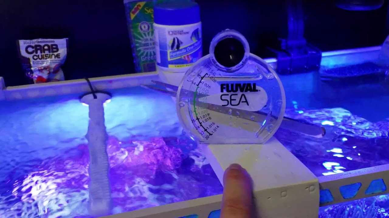 Hydrometer Accuracy & Water Changes