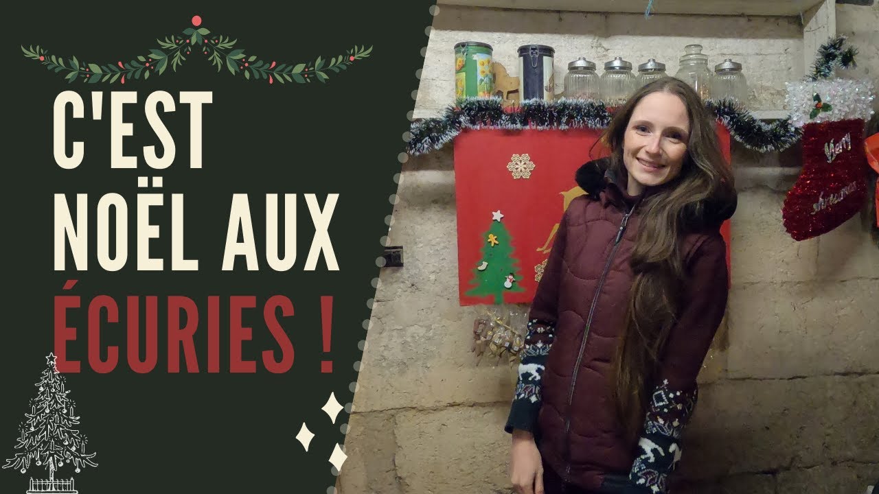 [HorseXmas #1] Je décore mes écuries pour Noël ! 🎄