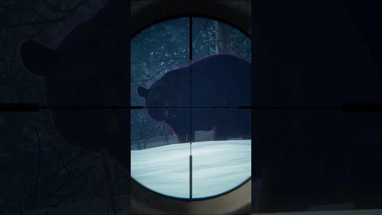 WAS THIS BEAR ANGRY? Call of the wild  