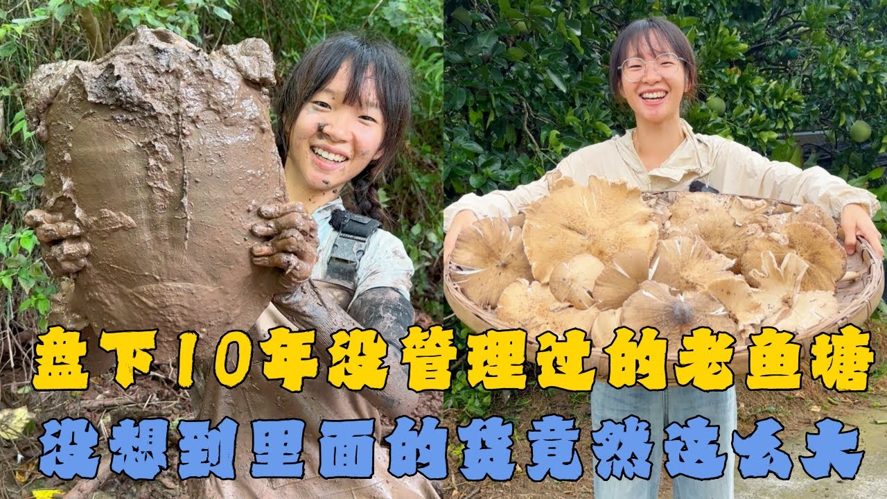 幺妹盘下10年没管理过的老鱼塘，没想到里面的货竟然这么大！