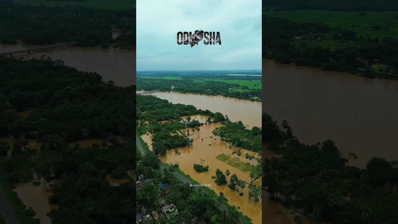 Heavy Rain & Floods in Odisha 🚨
