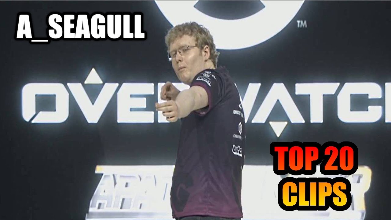 A_Seagull TOP 20 CLIPS OF ALL TIME