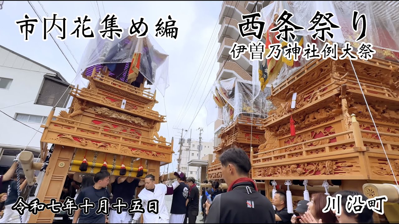 西条祭り 2025　川沿町　市内花集め編