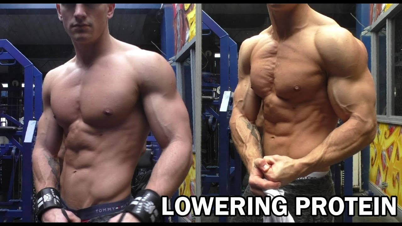 My Experience Cutting On Lower Protein
