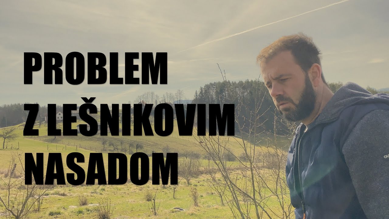 Nasad lešnikov se ne splača
