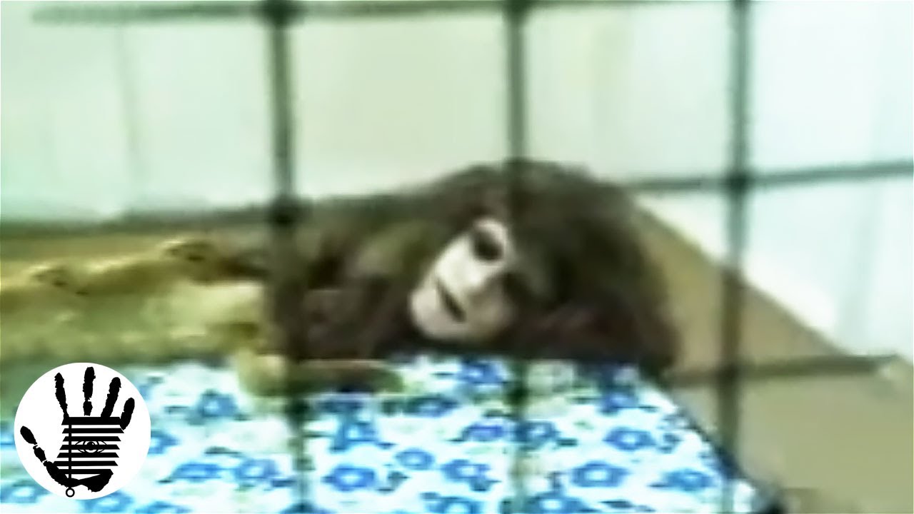 【半人半獸】的怪物被關在籠子內供遊客觀賞...這會是傳說中的【克拉蘇】嗎？| 非常人類
