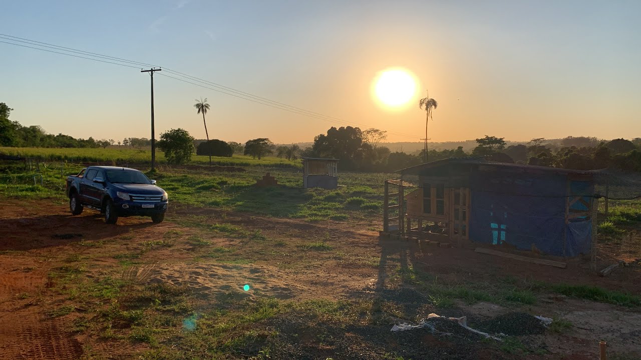 Dia a dia na Roça | Muito trabalho, mas gratificante!!! #agro #vidanaroça #sitio #vidarural