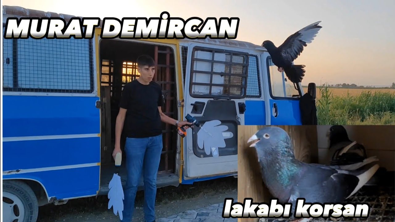 EN MEZİYETLİ ÖNCÜLER MURAT DEMİRCAN.not Bu videodaki kuşları görmenizi tavsiye ediyorum