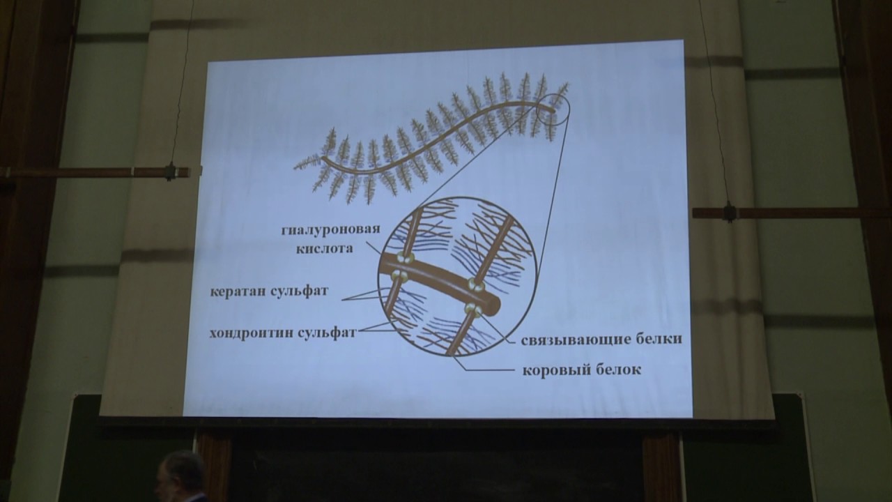 Асеев В. В. - Основы биохимии - 11. Функции белков