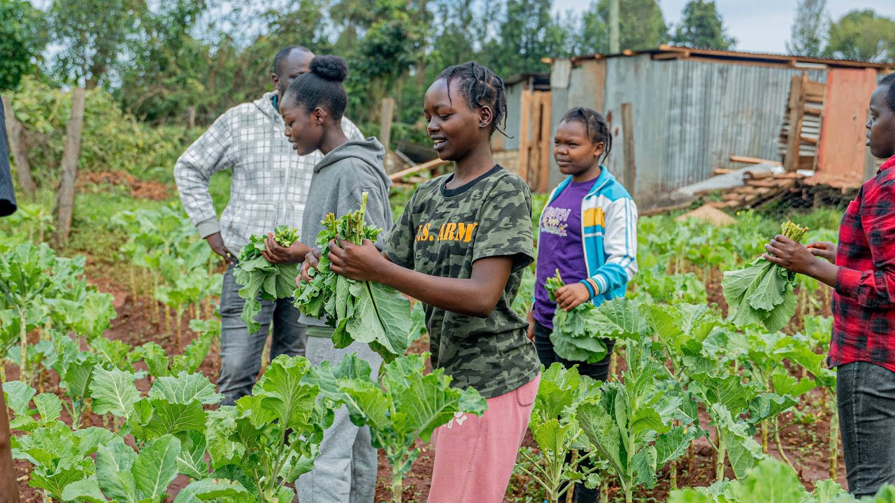 Agribusiness Education