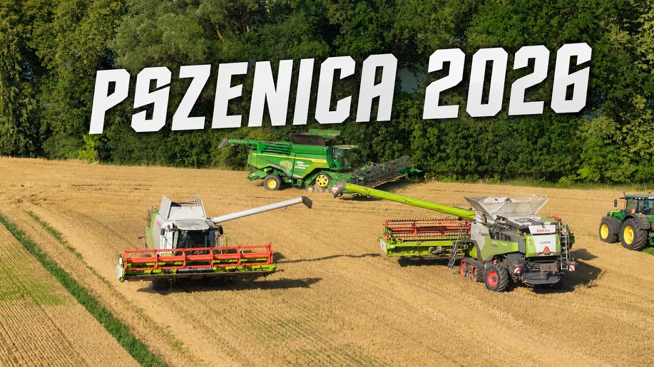 GR Lewandowscy - Żniwa pszenicy 2026