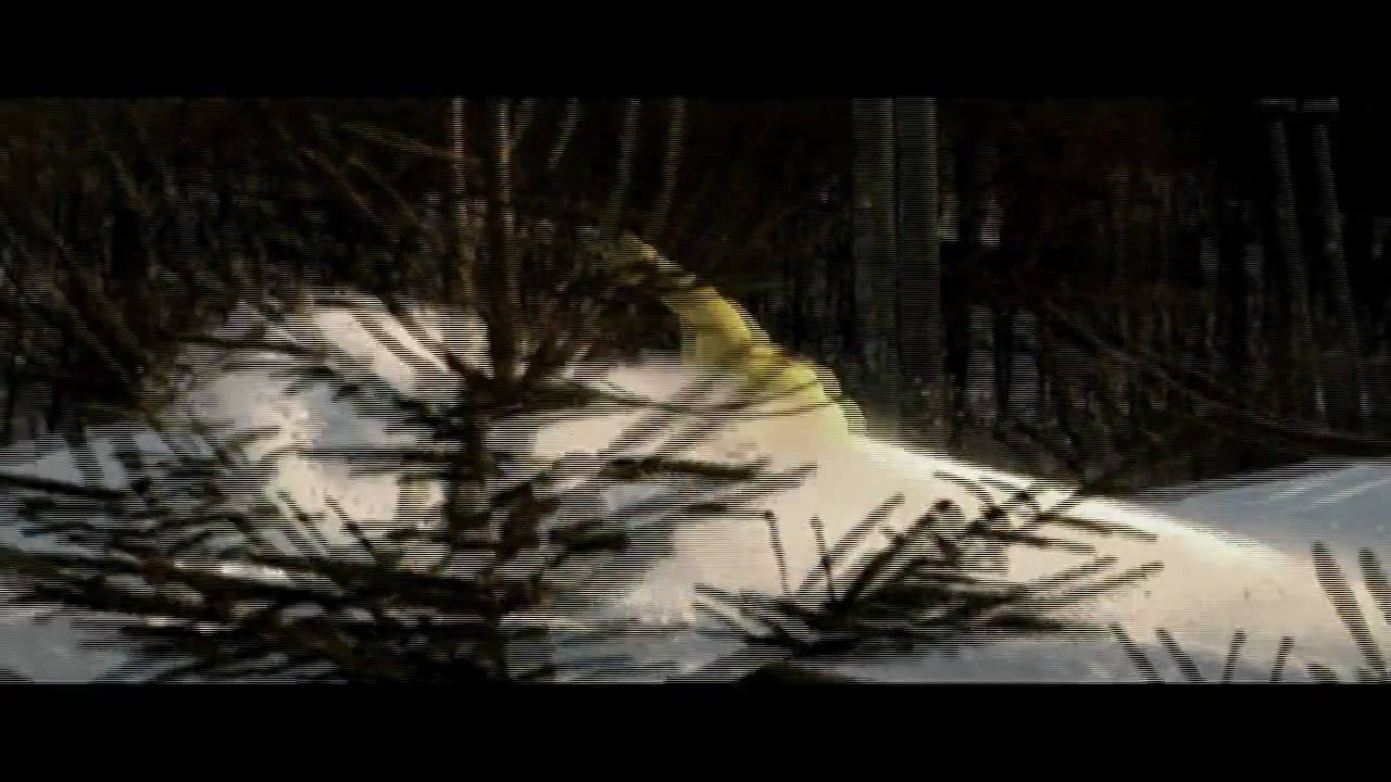 2009/2010 Artsy Montage