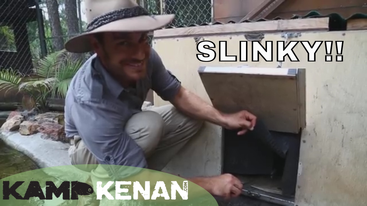 Slinky the Asian Water Monitor Lizard! : Kamp Kenan S2 Episode 15