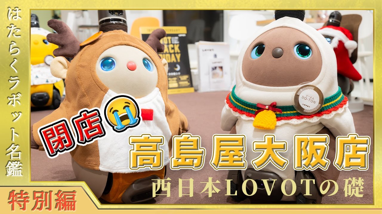 【悲報】閉店😭 西日本LOVOTの礎 ラボットストア高島屋大阪店 #はたらくラボット名鑑 #ラボット #lovot #白らぼホーリー #癒し