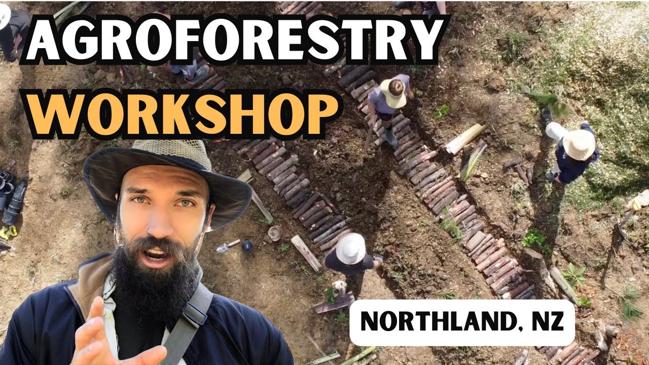 Agroforestry Workshop In Northland, NZ