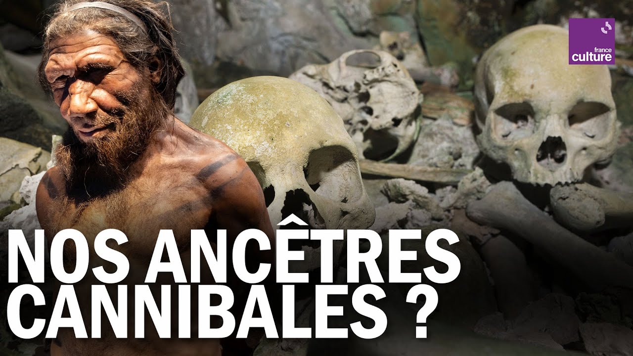 CANNIBALISME À LA PRÉHISTOIRE : quand l’Homme dévorait l’Homme