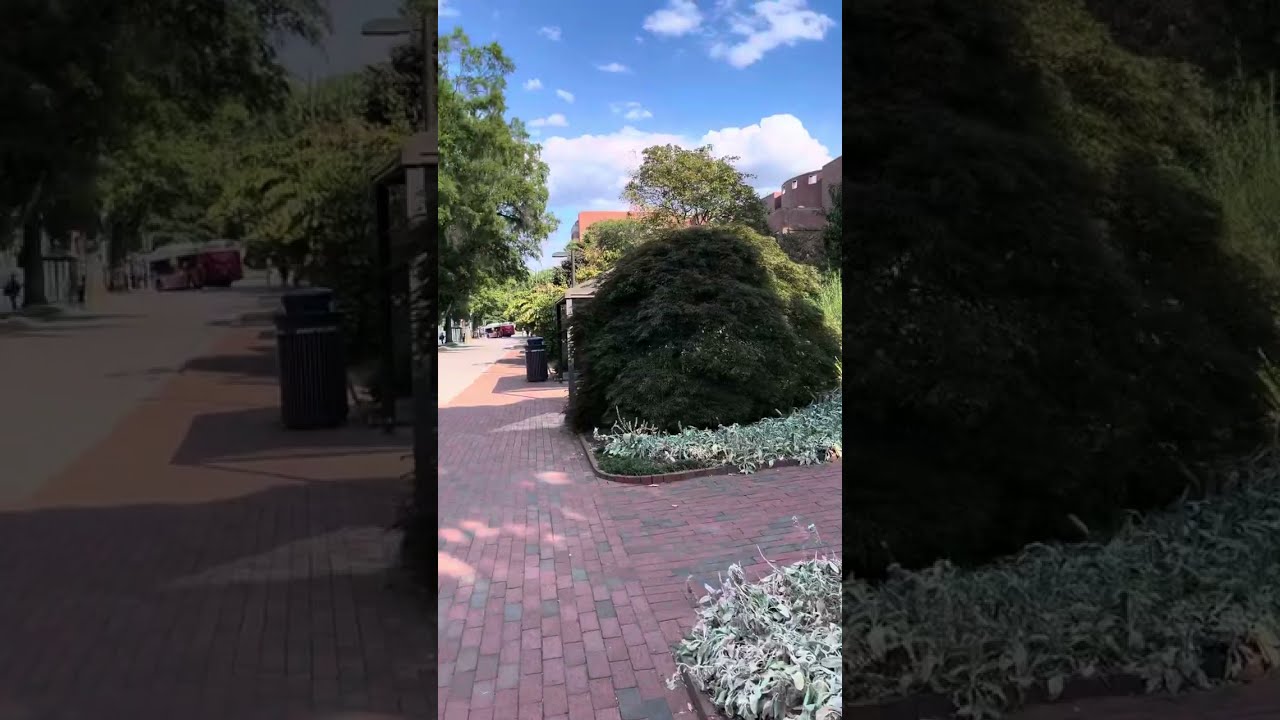 Walk with me from Nelson Hall to Talley Student Union. [Fall 2025]