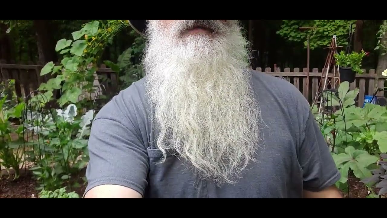 Yeard Update 18 Months