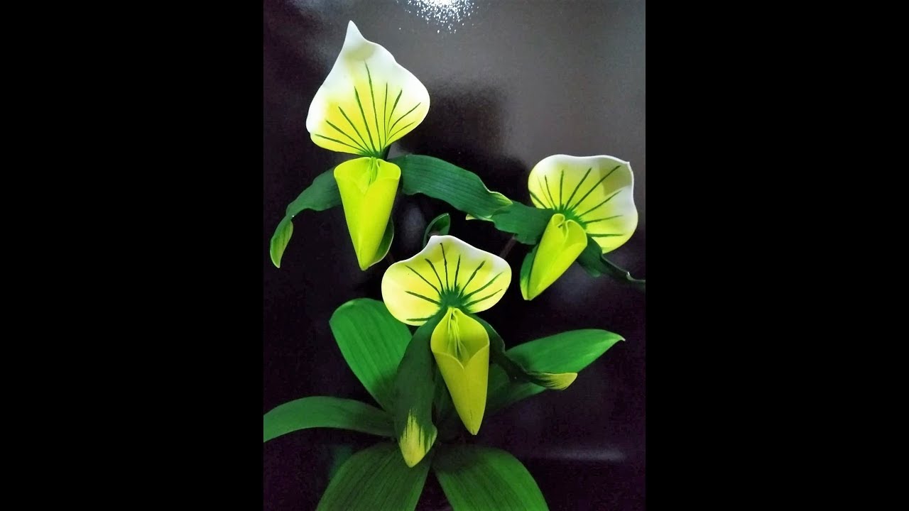 Flores exóticas orquídea sapatinho S/ Frisadores