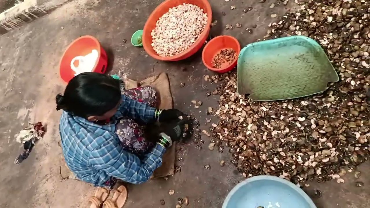 20 फ़रवरी 2026