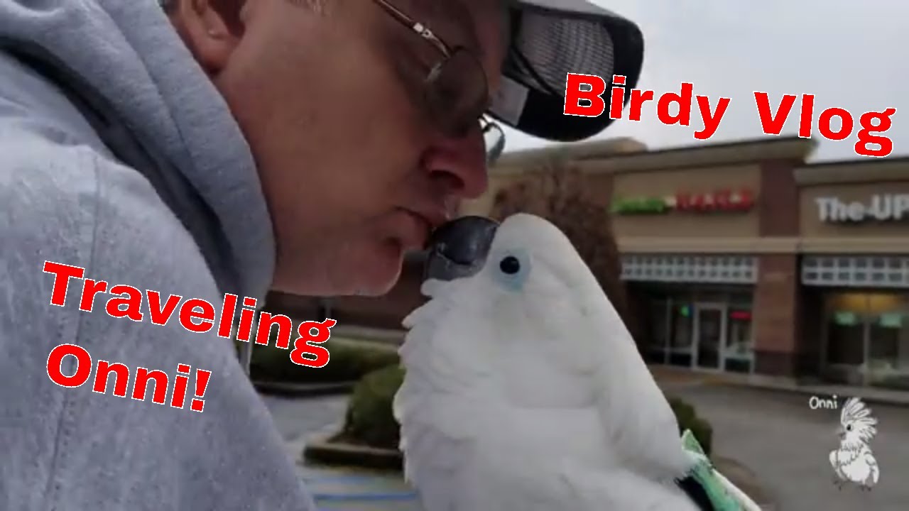 Onni visits Home Depot and More!! What's In His Giant Box?  (Birdy Vlog 6 ... LOT
