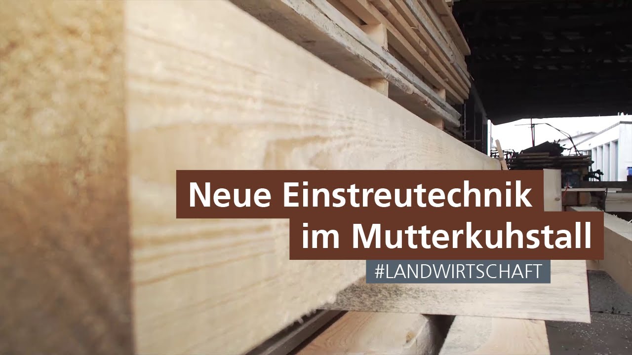 Neue Einstreutechnik im Mutterkuhstall an den Landwirtschaftlichen Lehranstalten