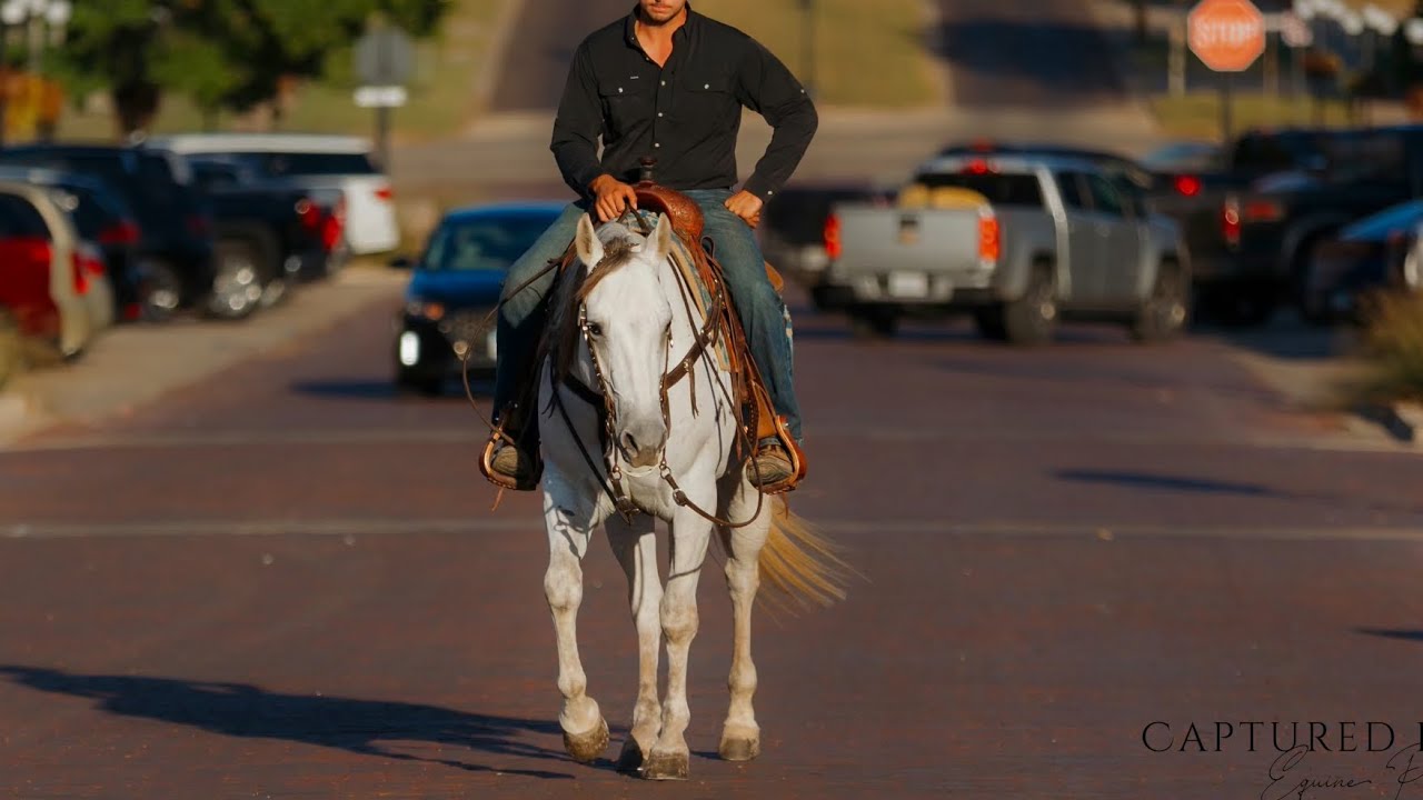 “ICE” - 2019 AQHA GELDING 