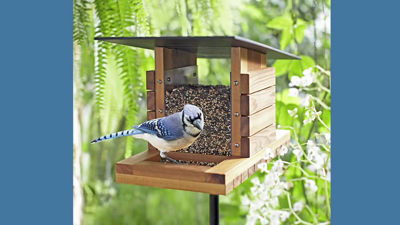 Bird Feeder Plans and Step-by-Step Instructions