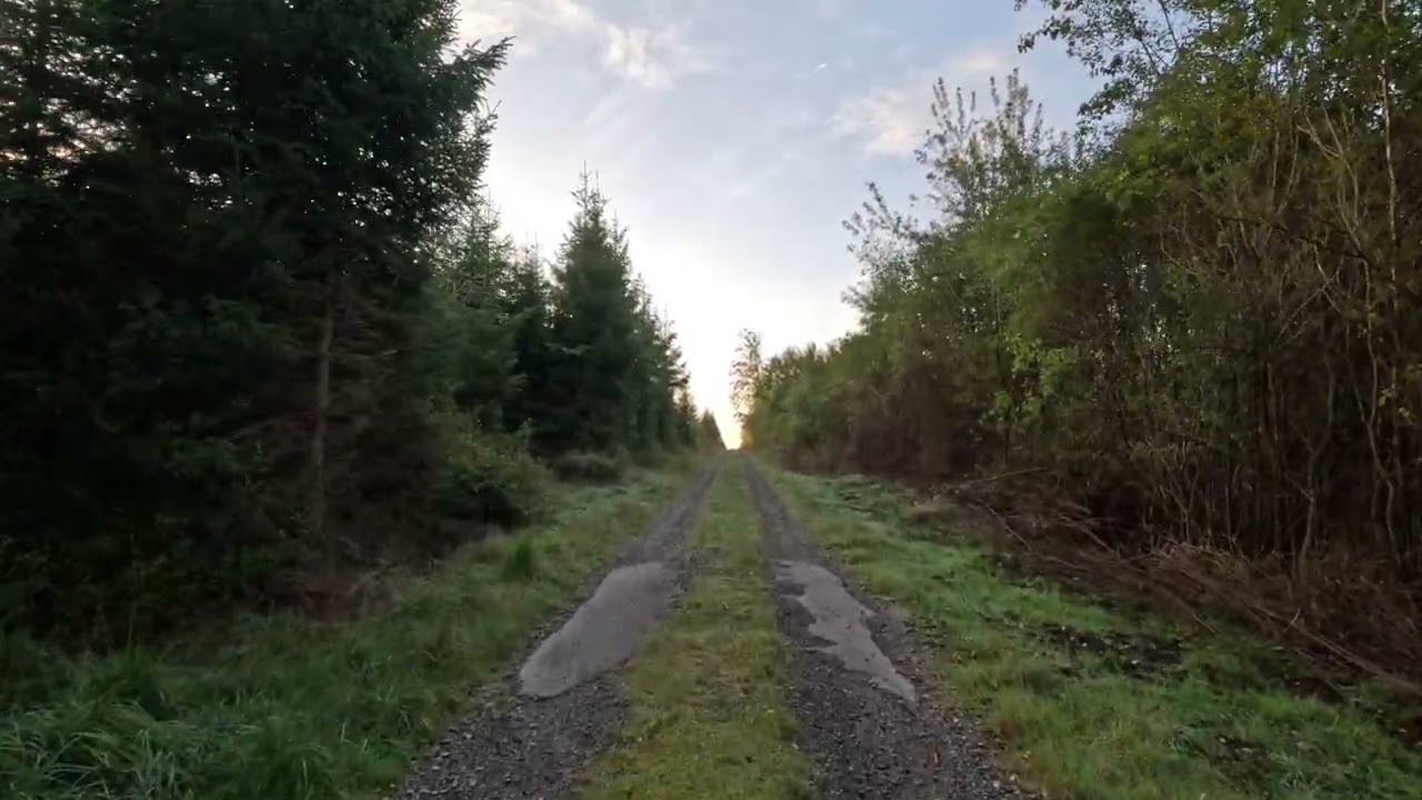 4kEifel, Hohes Venn, Natur,Relaxing video, hiking, Sonnenaufgang im Hertogenwald, Belgien 3/3