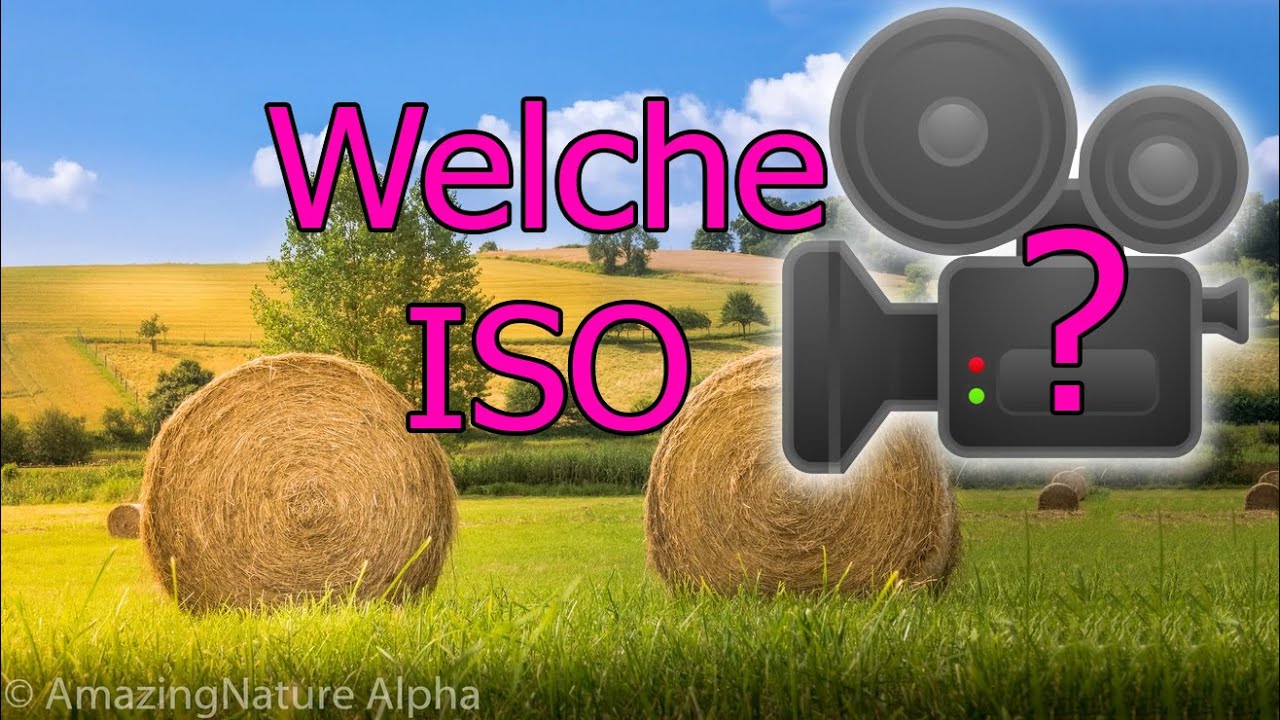 FILMEN LERNEN #3 🧐 Alles über die ISO für Videofilmer | ISO 100 oder 1000?