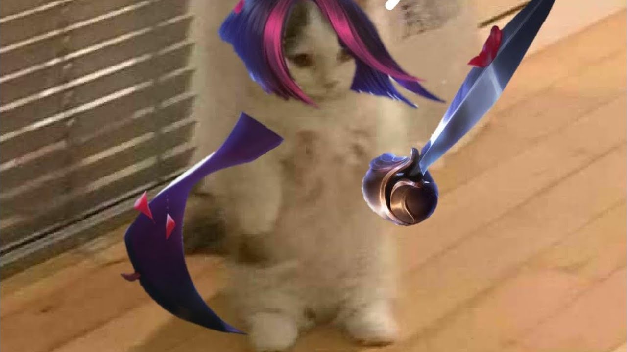 Huehue true dmg fiora vs camille