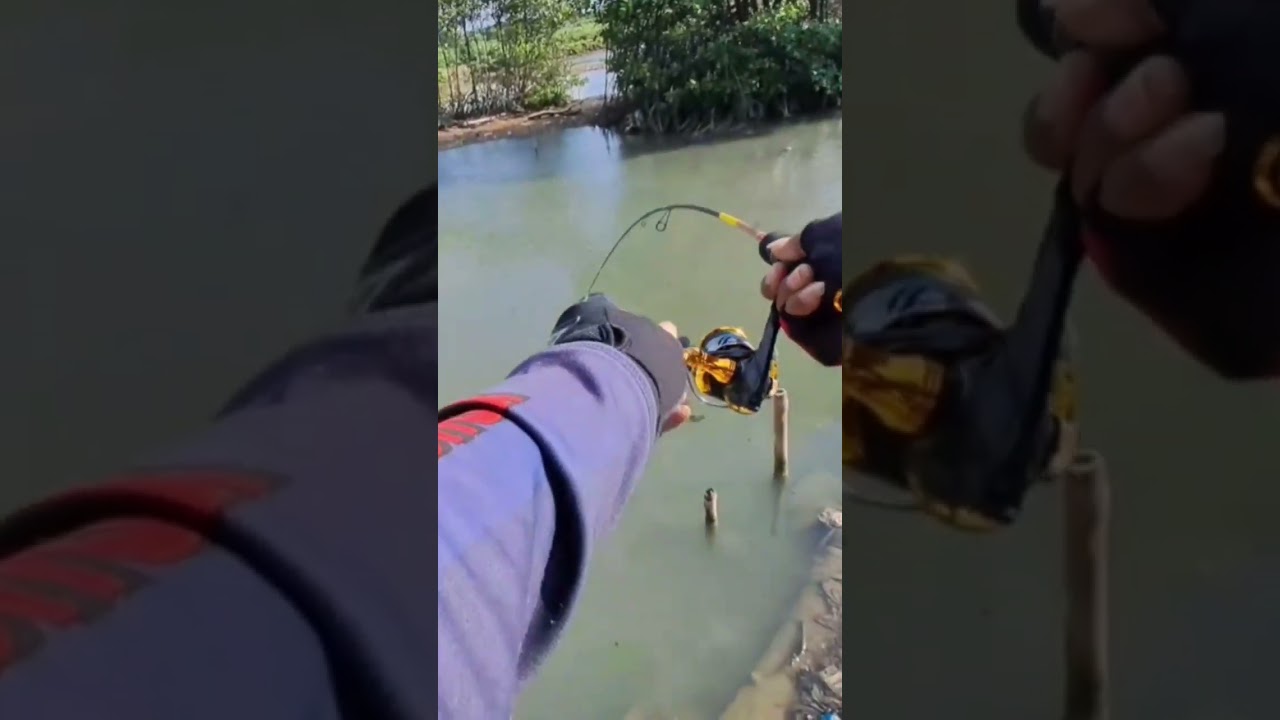 Aneh..!! Kumbulnya kok ga dibawa silem..!!