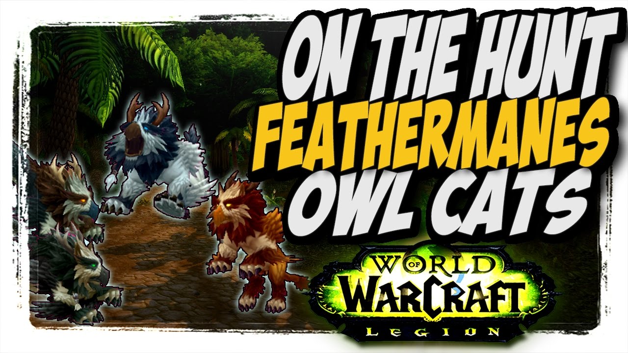 Feathermanes Owlcats!! Common to Rare hunter pets 