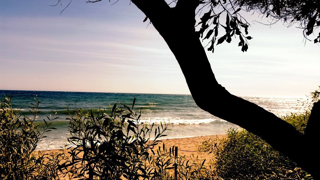 Southern Spanish nature, la naturaleza del sur espa&ntilde;ol