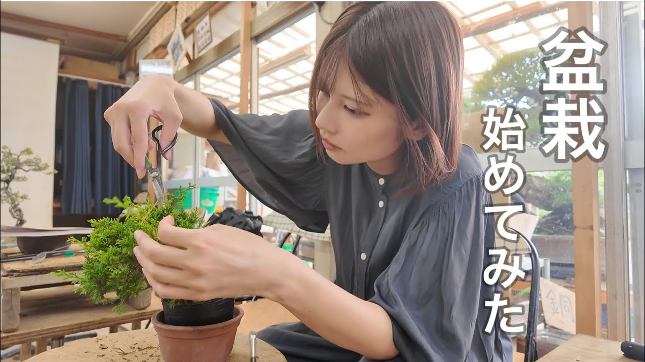 盆栽の世界…実に興味深い！