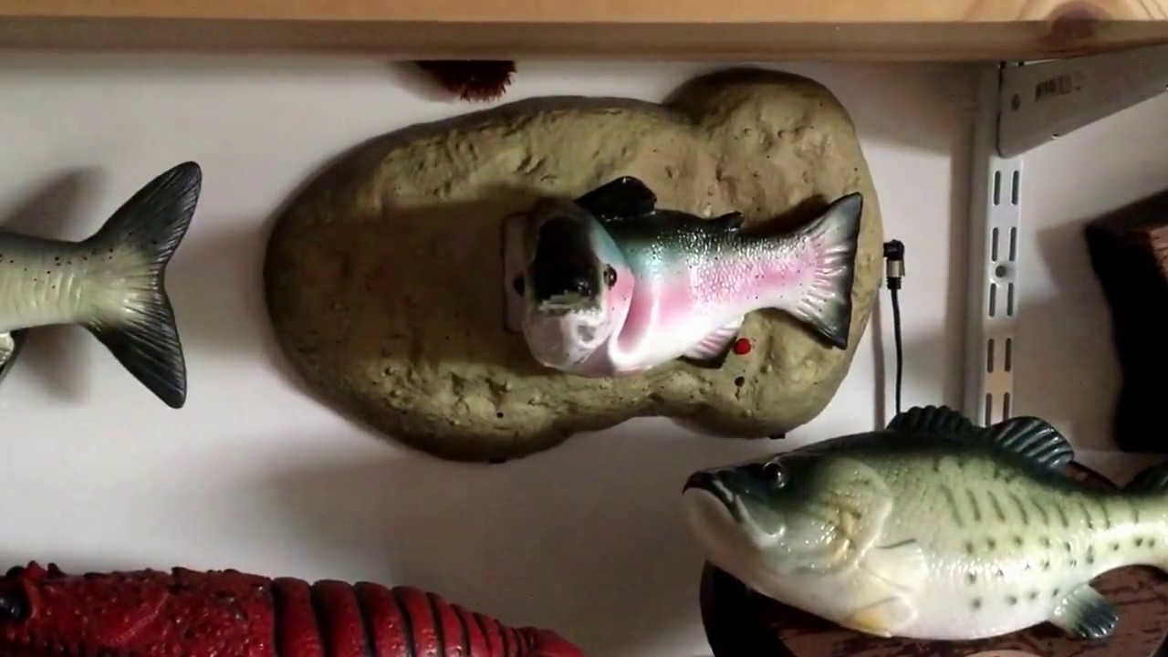 My Singing Fish collection 2017
