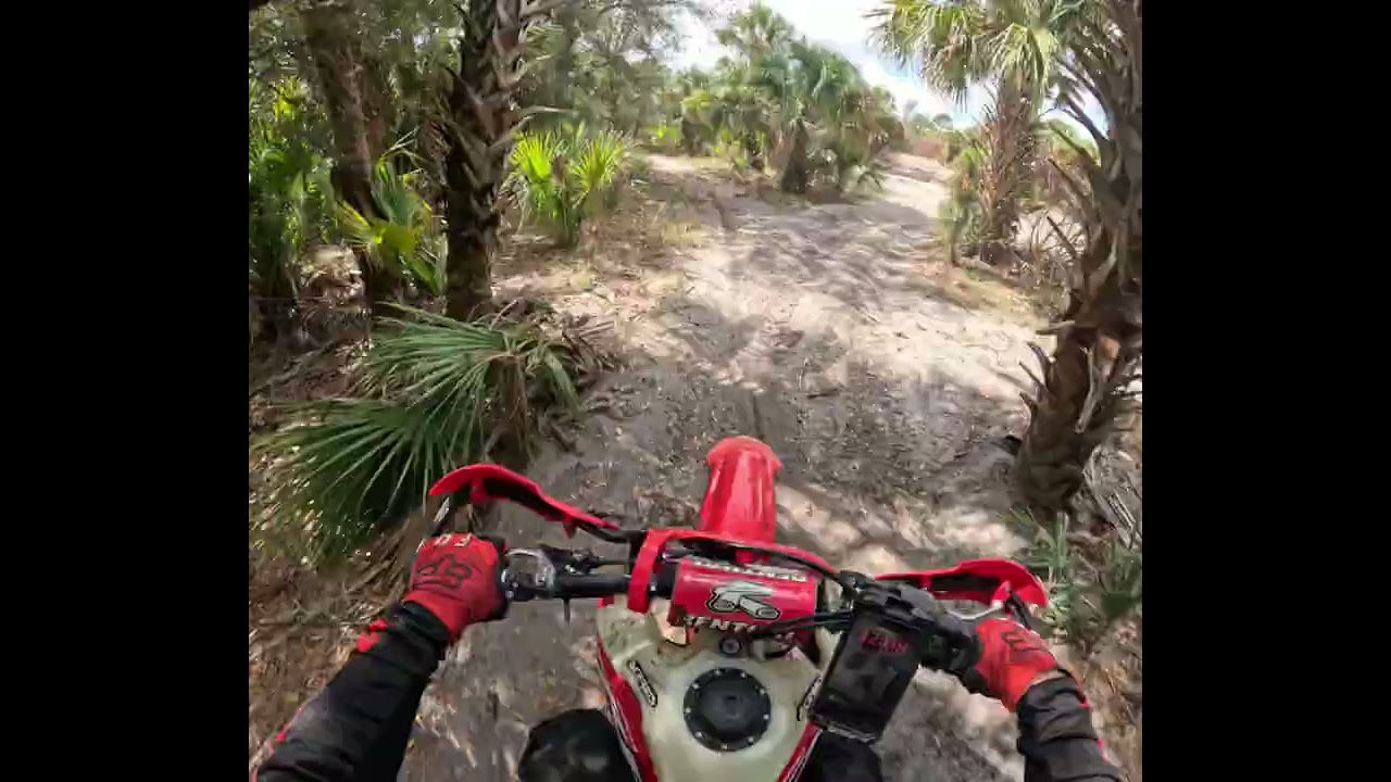 Port St. John (Canaveral Groves) Single Track 2