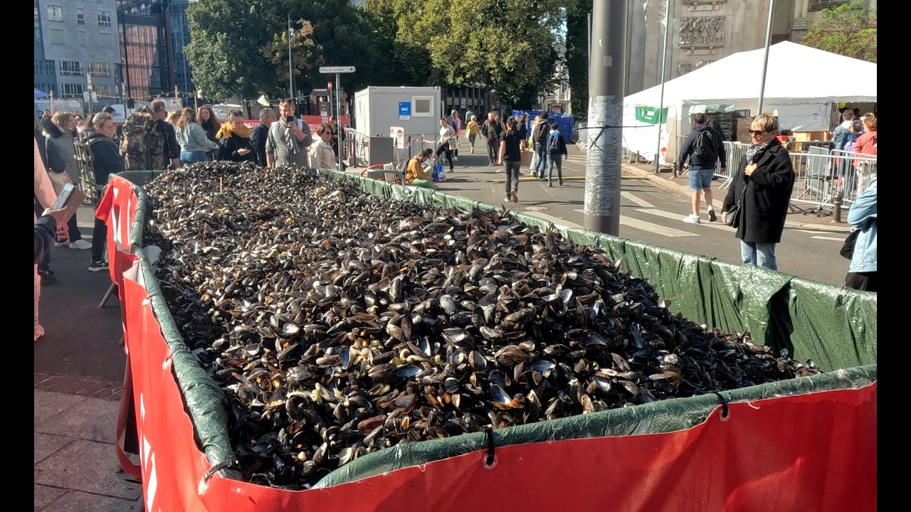 Braderie de Lille 2024   Place Rihour le 15 09 2024