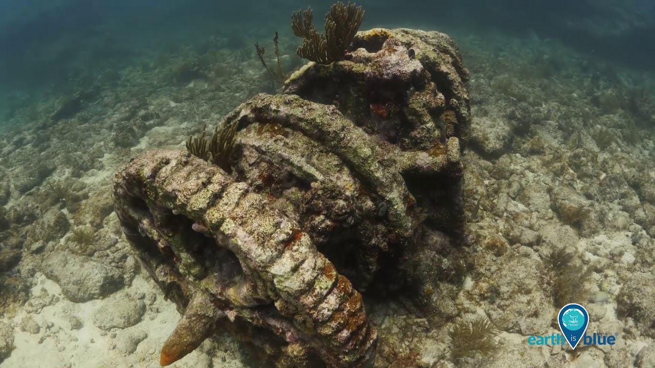 Diving the wreck of Slobodna in Florida Keys National Marine Sanctuary