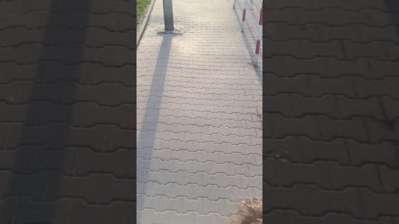 Longboard - Mordor Domaniewska