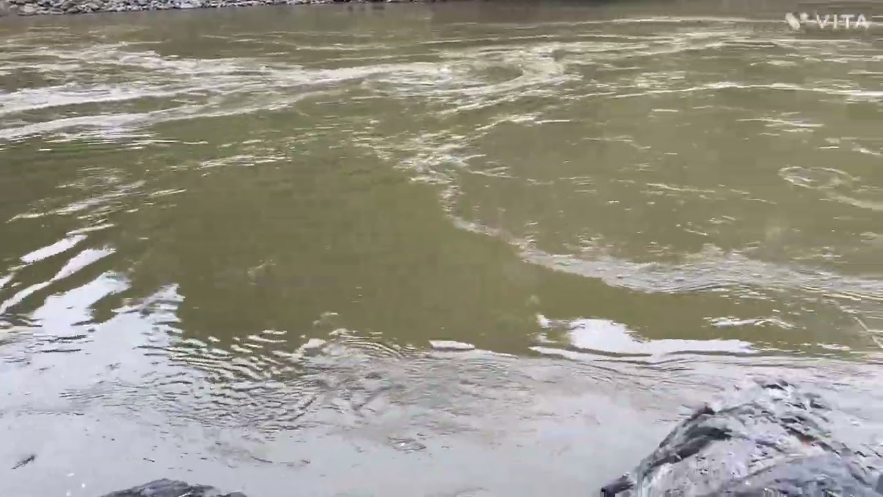 Río Cauca barbudo charco de la abuela